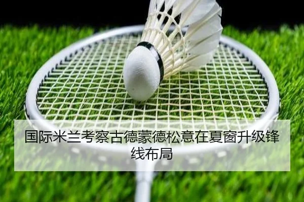 国际米兰考察古德蒙德松意在夏窗升级锋线布局